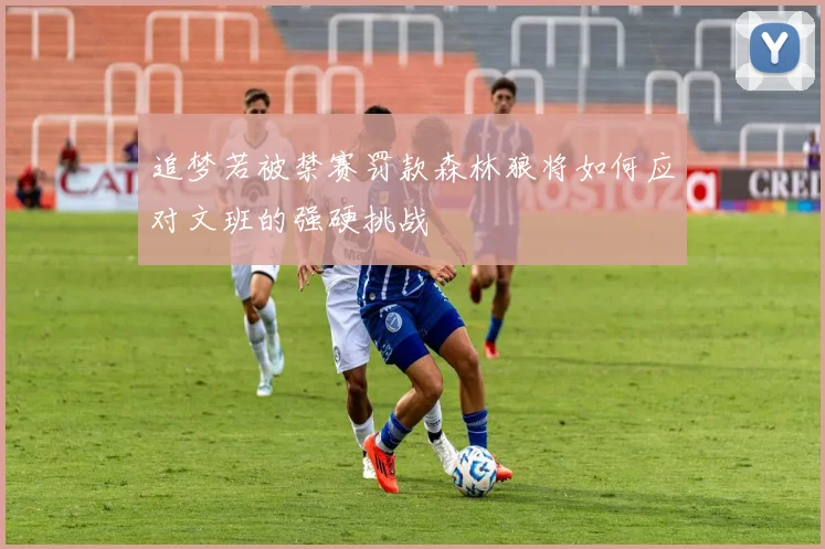 追梦若被禁赛罚款森林狼将如何应对文班的强硬挑战