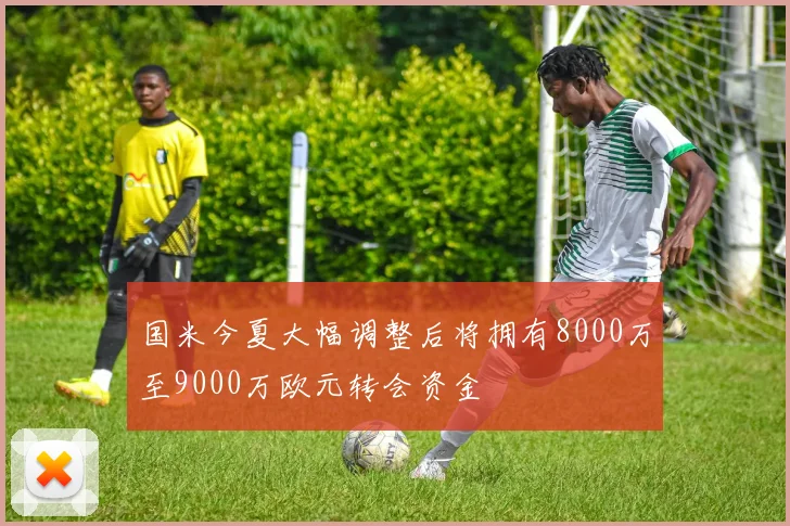 国米今夏大幅调整后将拥有8000万至9000万欧元转会资金
